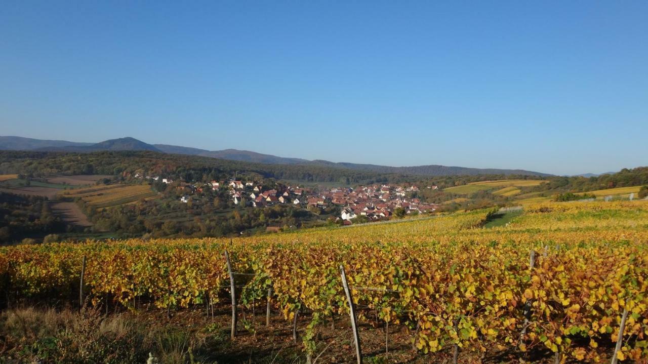 Gite Le Petit Moulin Rosenwiller Exterior foto