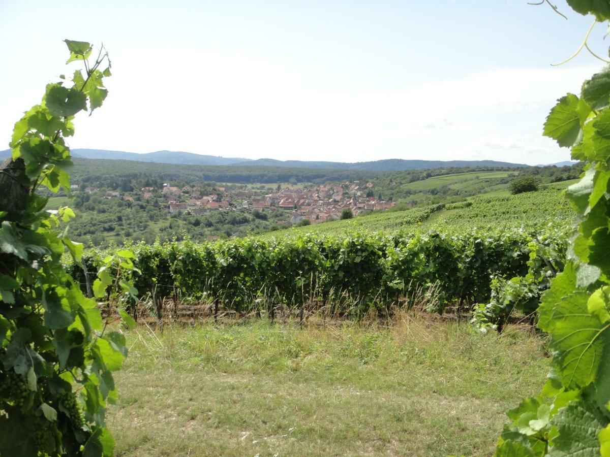 Gite Le Petit Moulin Rosenwiller Exterior foto